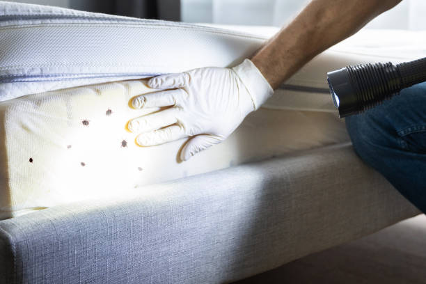 Best Best Pest Control Companies  in Prairie Du Chien, WI
